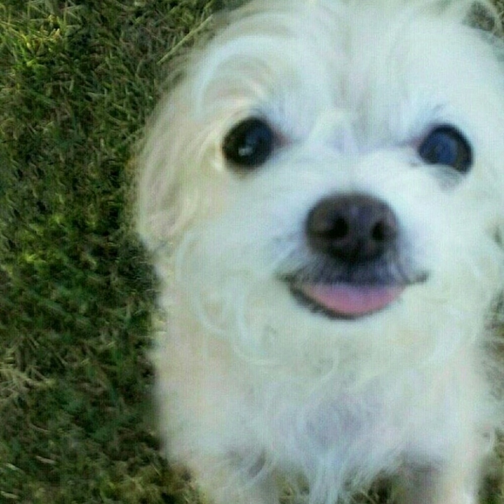 Meet your Posher, Jane